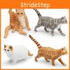 Farm Cat Decor Pvc Pet Model For Childrens Playroom And Collectibles