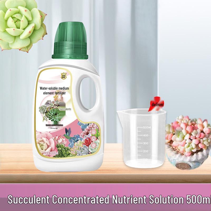 

Усилитель цвета суккулентов и питательный раствор для роста - Не требует разбавления