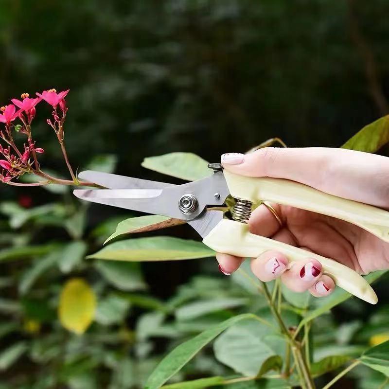 Stainless Steel Scissors Flower Cut Arrangement Pruning Fruit Tree Garden Branch Cutting Household Grafting Gardening Scissors