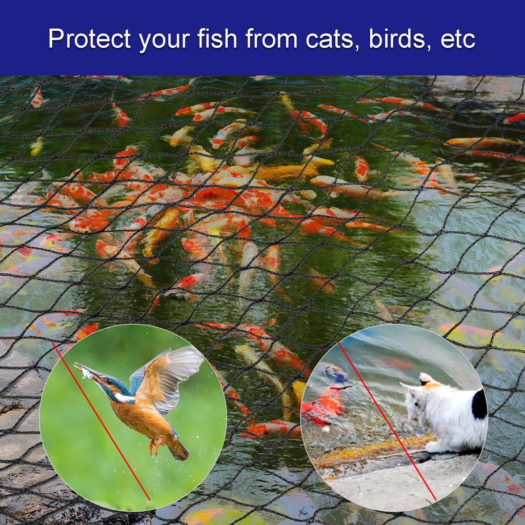 Black Orchard Bird Netting High Density Polyethylene Knotless Anti Fall Leaves Pond Net