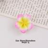 Colorful Plumeria Resin Charms: DIY Cream Glue Accessories for Crocs, Hair Clips, Earrings, Phone Cases