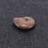 Luck Madagascar Stone Gifts Mascot Iridescent Specimen Ammonite Natural