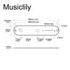 Musiclily Pro 32mm Steel Control Plate for Telecaster Electric Guitar, Gold