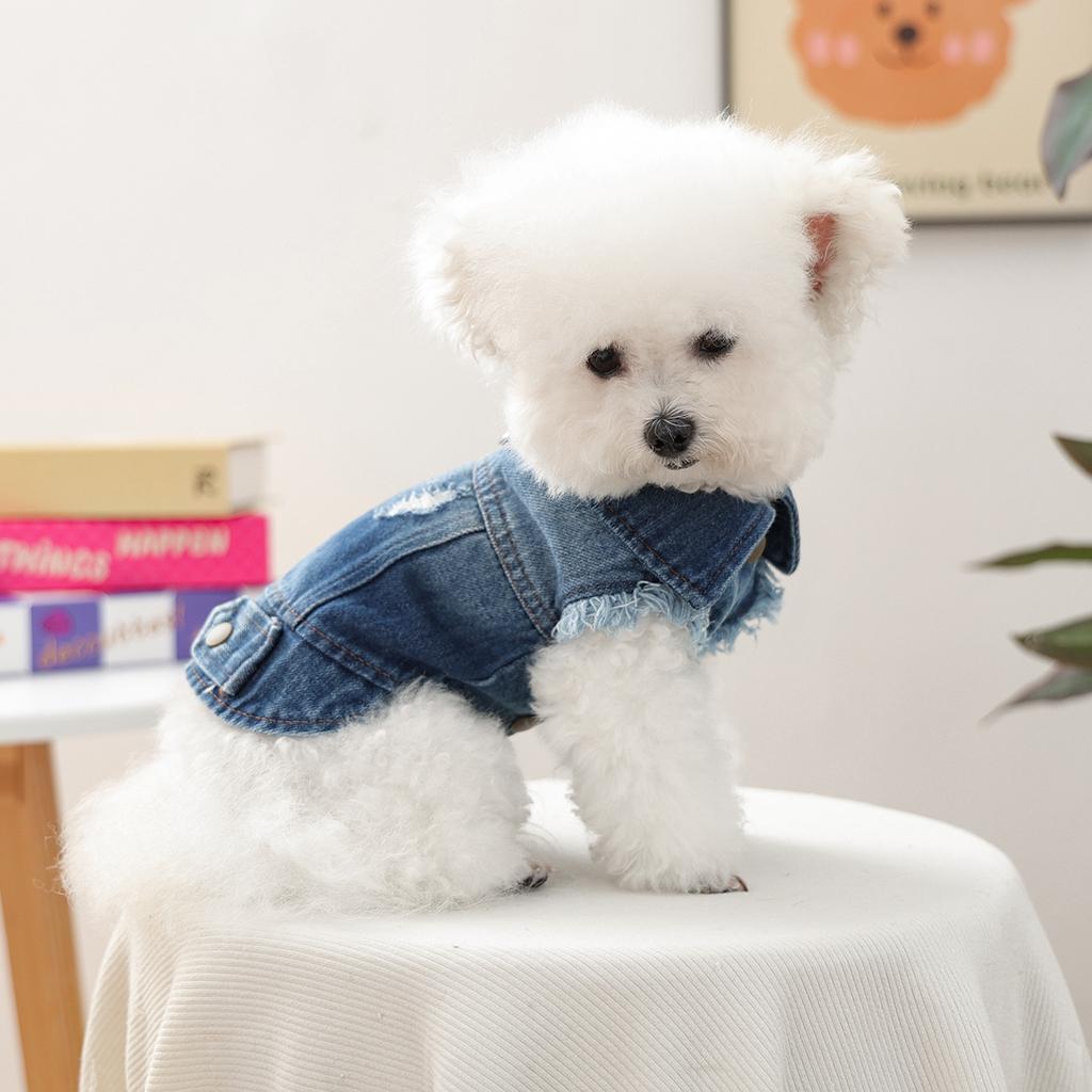 Pet Clothes Autumn and Winter New Small Dog Puppies Happy Dog Cat Warm Comfortable Retro Cool Denim Clothes