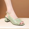 Versatile Thick Heel Fashionable Hollow Fish Mouth Sandals for Women Summer Mid Heel Buckle Sandals