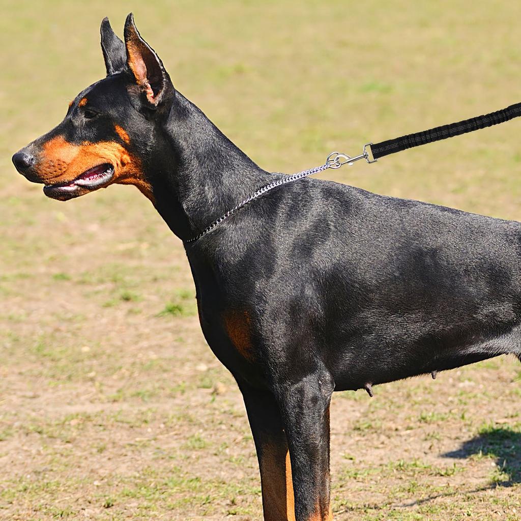 Dog Leash Extend Rope 43 63cm Elastic Nylon Reflective Walking Running Small Medium Dogs