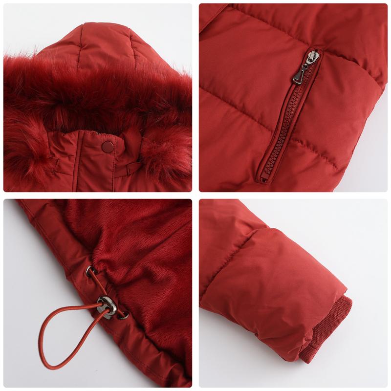 Autumn and Winter Warm Cotton Coat for Women Short Style Plus Velvet Long-sleeved Cotton Coat with Detachable Hood