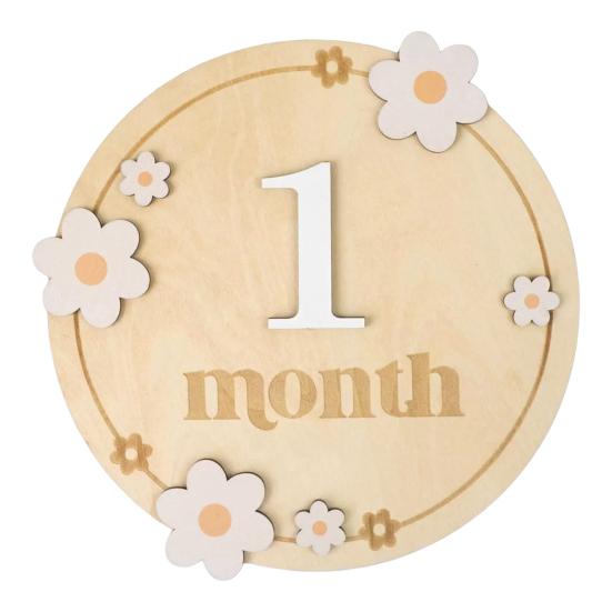 Baby Monthly Milestone Ornaments, Wooden Growth Markers with 3D Bow And Flower Decoration, Baby Monthly Milestone Cards for Baby Photos Keepsake