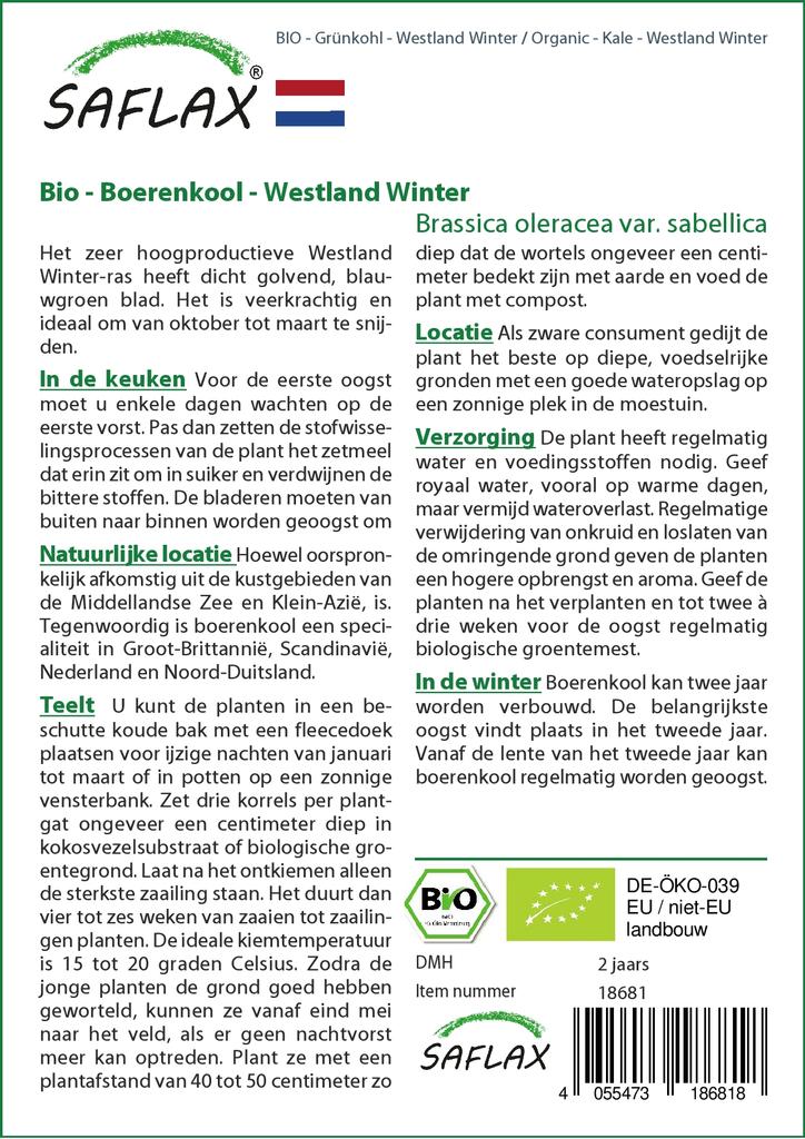 SAFLAX Bio - Kapusta - Westland Winter - 70 semen - Brassica oleracea