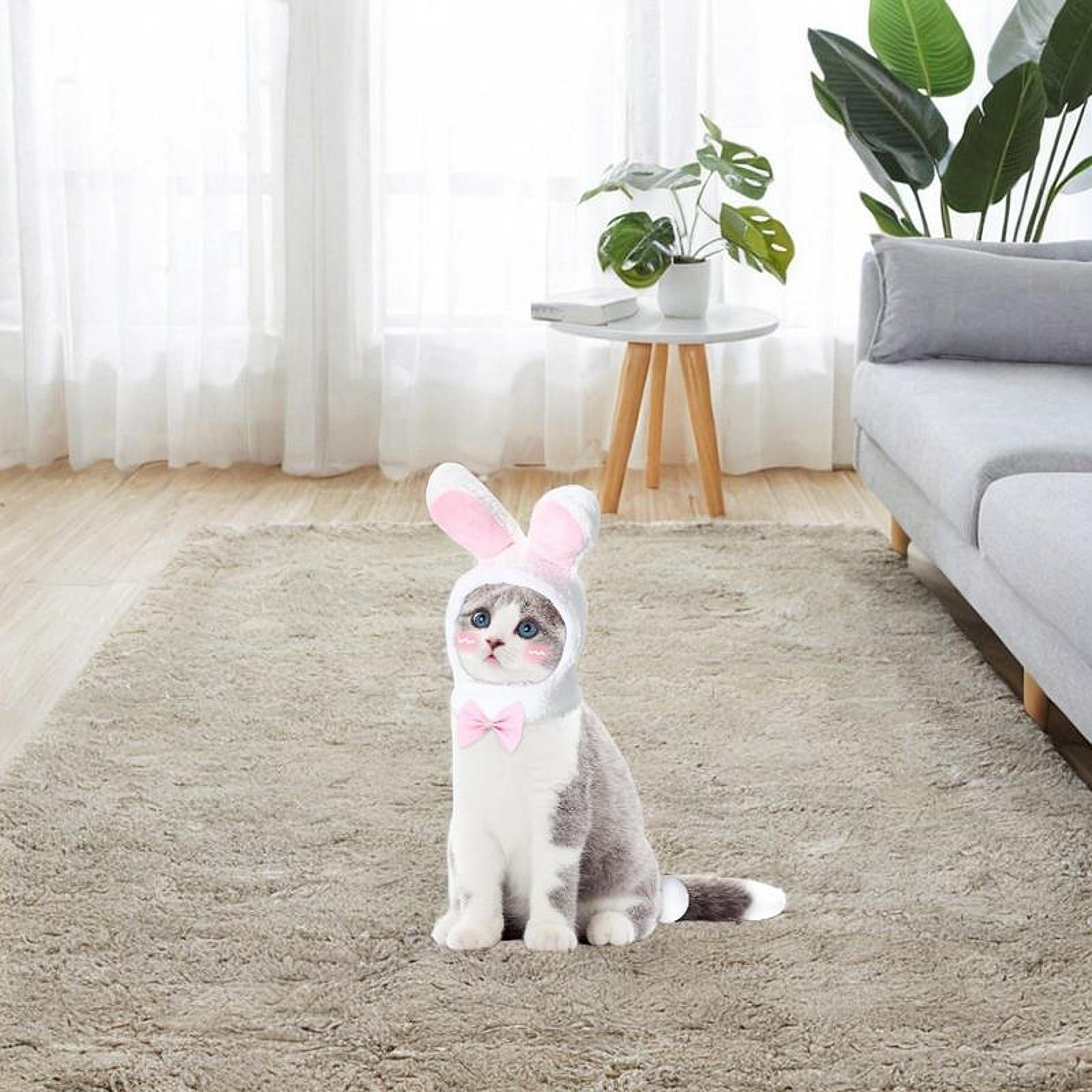 

3 предмета милый костюм кролика косплей уши аксессуары наряды маскарадный костюм для фестиваля hat ball bow tie