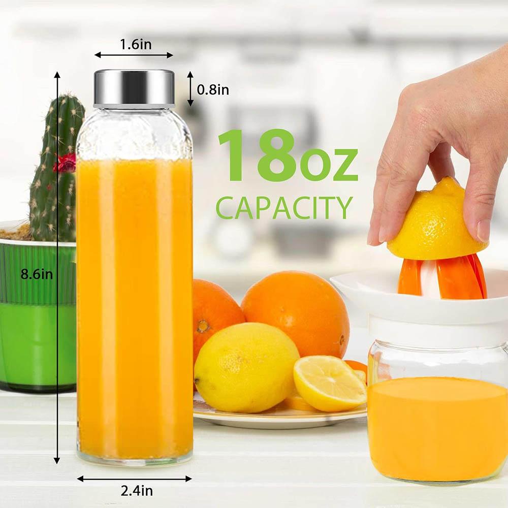 Clear Glass Bottles 18 oz,Reusable Glass Water Bottles with Stainless Steel Cap for Juicing,Refrigerator,Juice Water Bottle