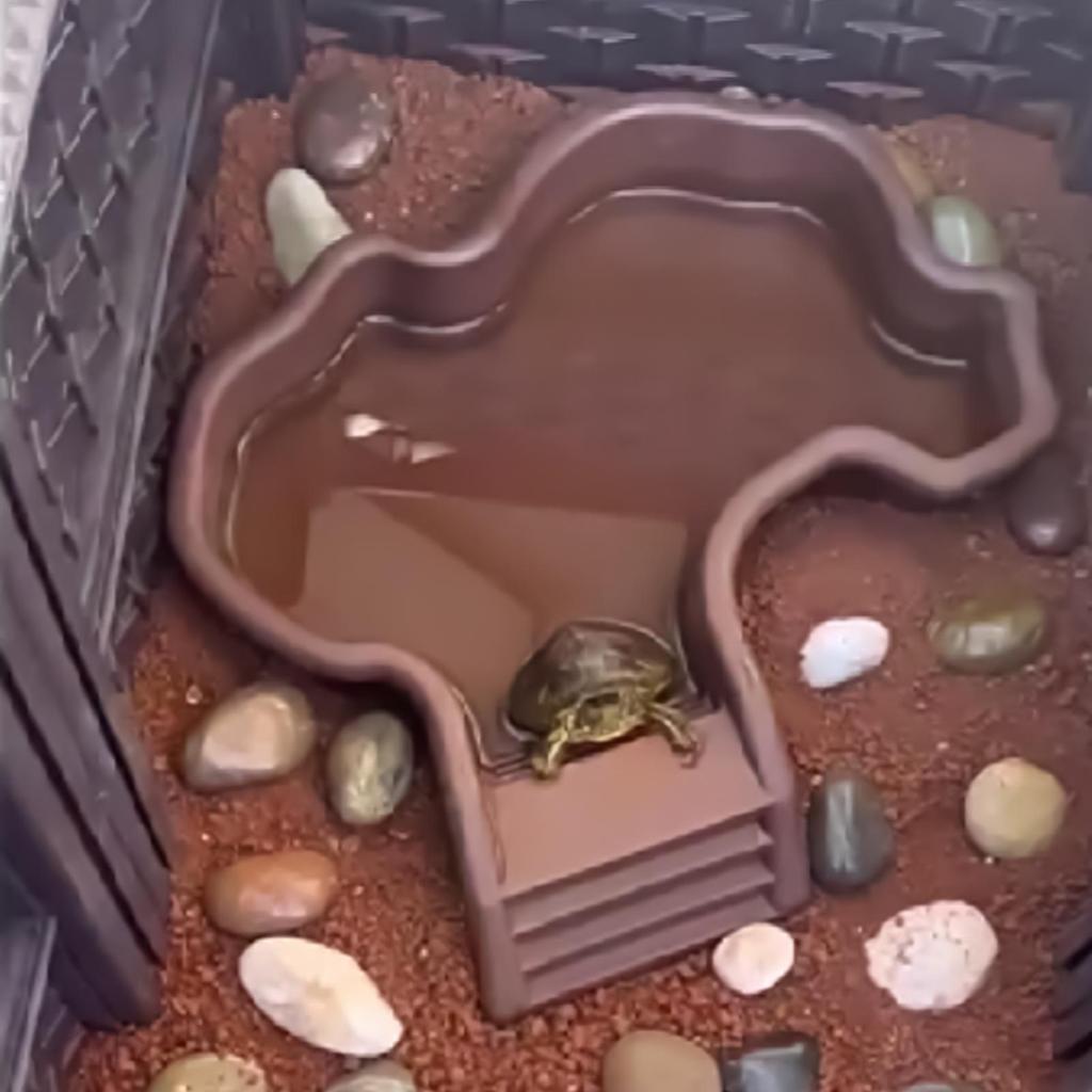 Tortoise Bathing Pool Reptile Bath Tub With Ramp Easy-Clean Soaking Tub Aquarium Animals Food Feeder For Breeding Enclosure