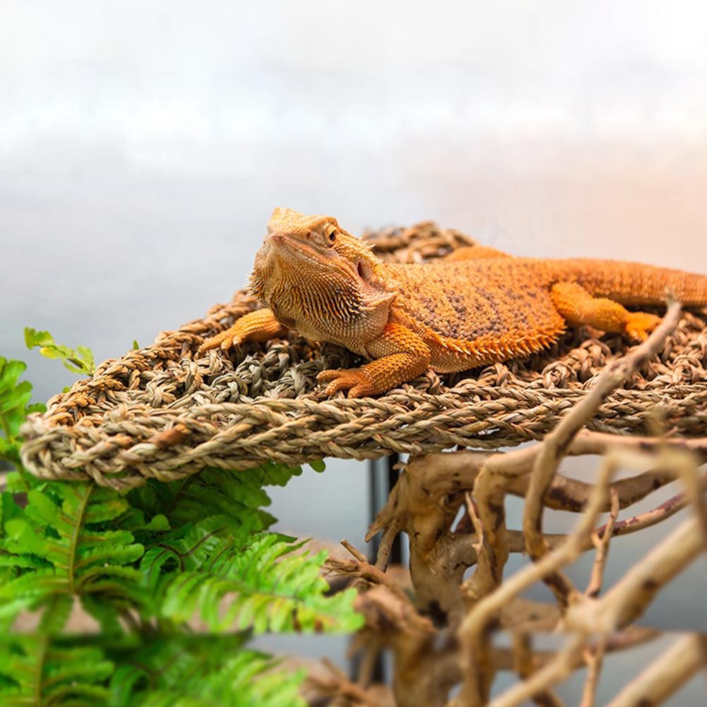 Hängmatta för smådjur med ödlor, reptil, handvävd hängmatta, gunga, geckofåtölj, liten eremitkräfta, fågel, reptilmatta, husdjurstillbehör