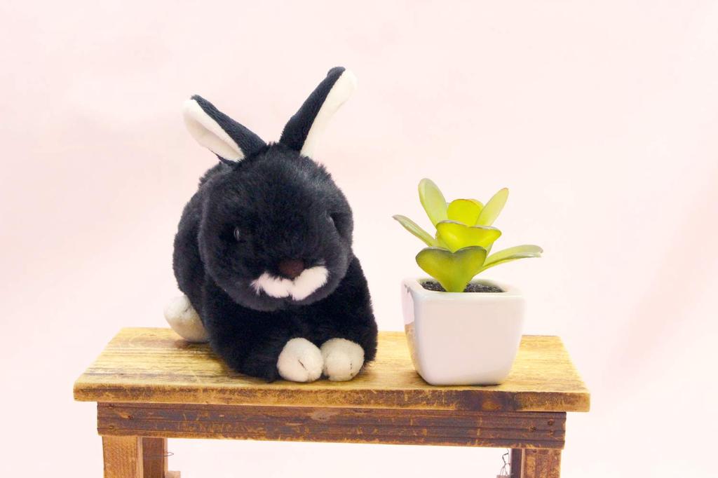 Take Off Rabbit Maron Rex Black