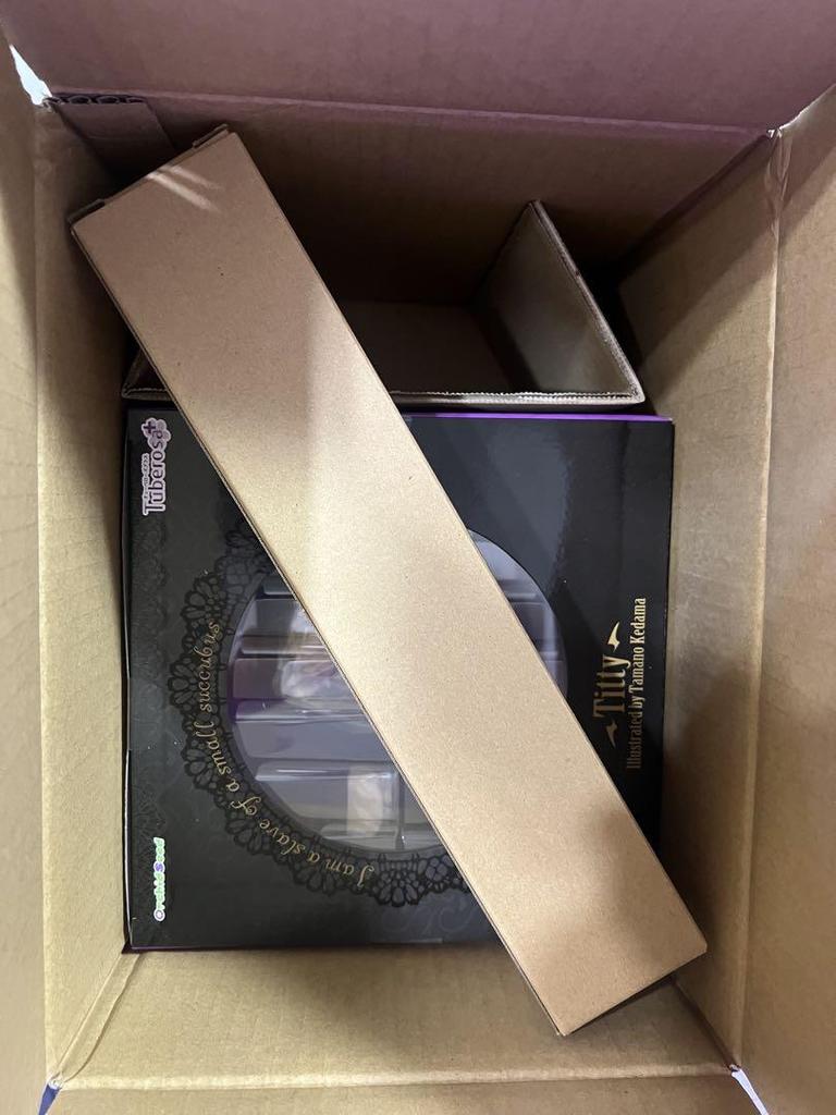 [USED] Titty 1/6 scale figure