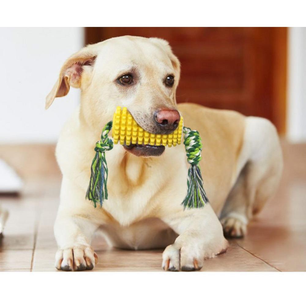 Dog toys, pet supplies, acoustic corn dog toys. Cotton rope, grinding rod