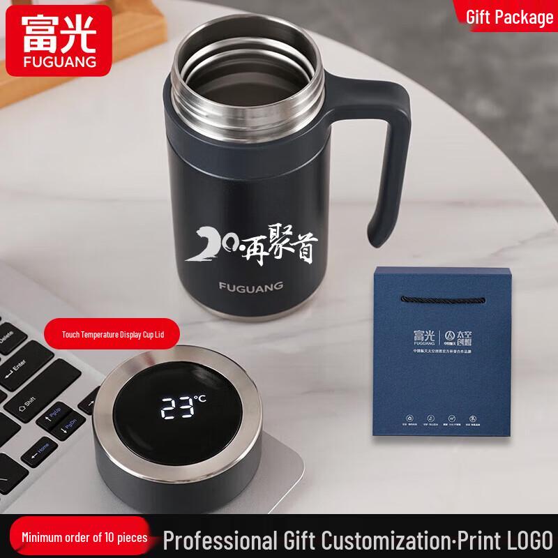 FUGUANG FGZ2358 Smart Tea Infuser Insulated Office Mug with Handle 500ml