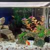 Aquarium Landscape Bark Rock Model Aquariums Decorations Art Crafts Terrarium Habitat Ornaments