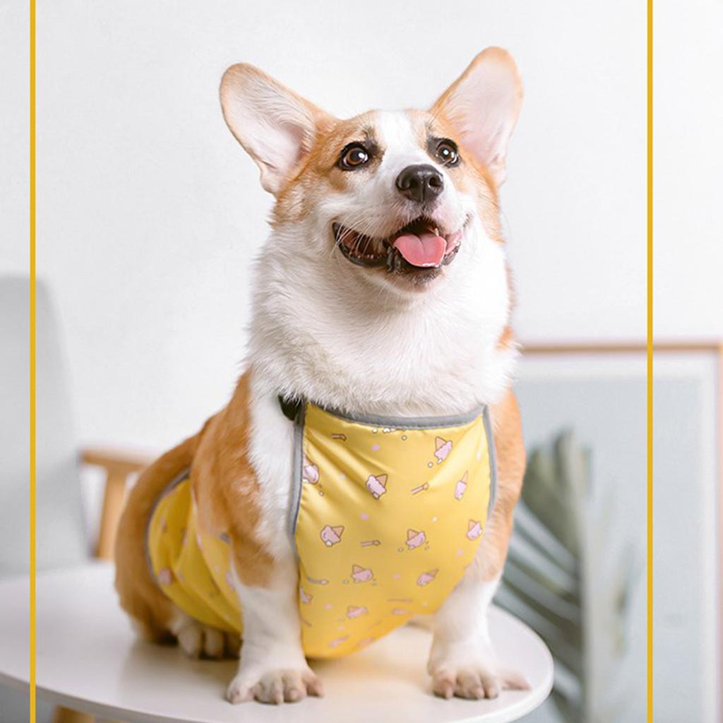 Sıcak Evcil Hayvan Karın Yeleği Su Geçirmez Soğuktan Korur Islak Köpek Karın Örtüsü Koruyucu Kemer Corgi Kısa Köpekler İçin
