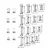 1220pcs Metric Screw Nut Washer Assortment Durable Fastener Assortment Kit  Furniture Assembly