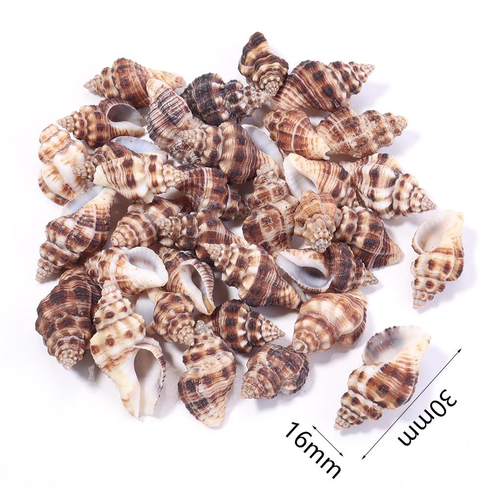 40g/bag Sea Shell Beads Tiny Conch Beads Undrilled Natural Shell Beads For Jewelry Making DIY Crafts Ornament Home Decoration