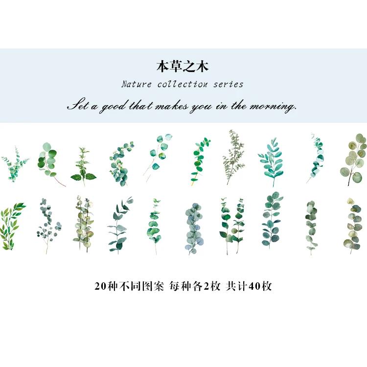 40pcs Natural Stickers Journaling Stationery Transparent PET Flowers Leaves Plants Deco Stickers