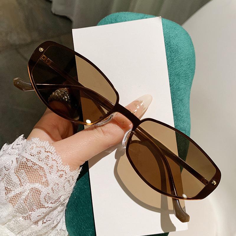 Chic Retro Cat-Eye UV Protection Polarized Sunglasses for Women