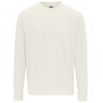 Mens Sweatshirt