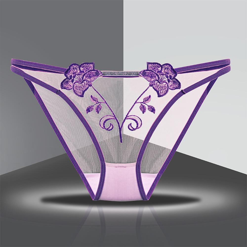 Cotton Crotch Mid Waist Mesh Briefs Thin Belt Mesh Transparent Underpants Female