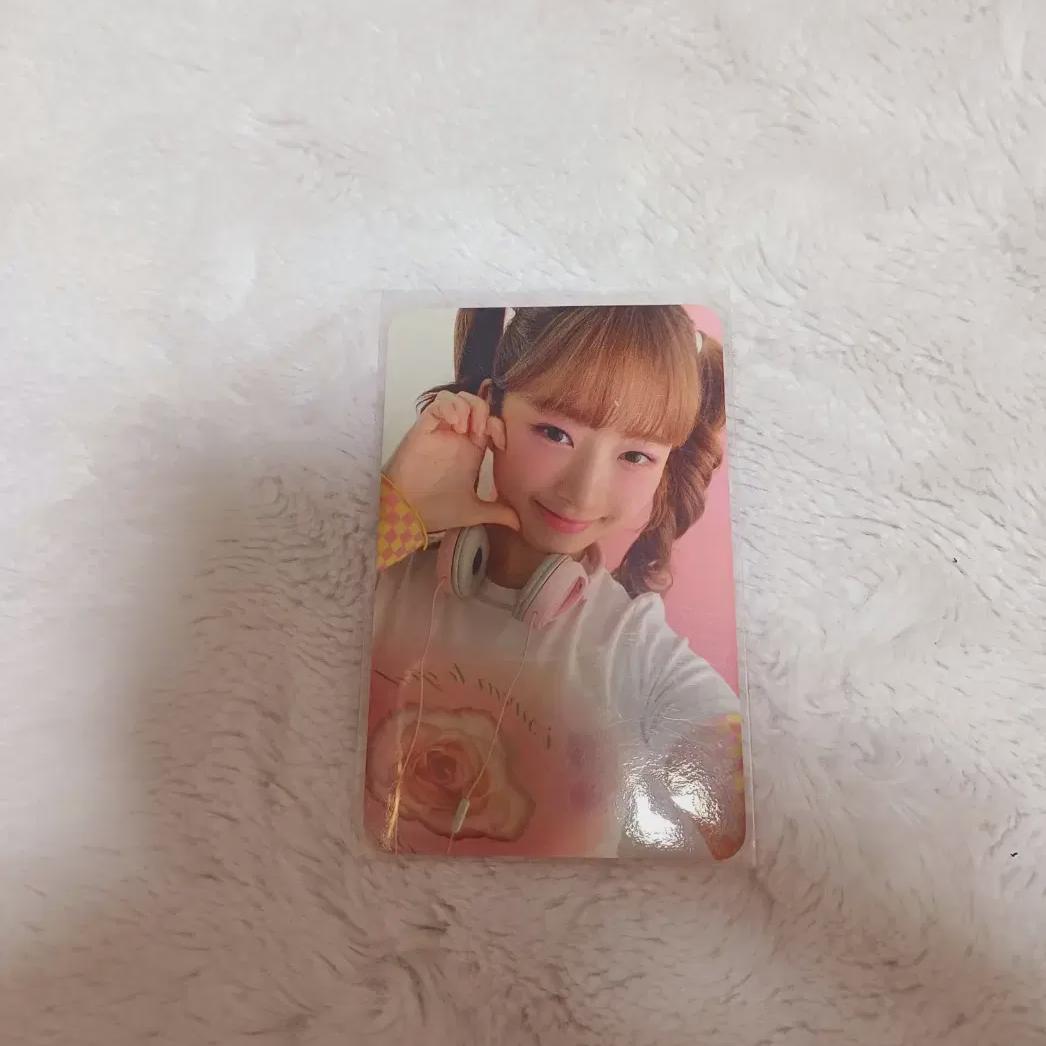 

IVE Рэй Питчи Фотокарточка