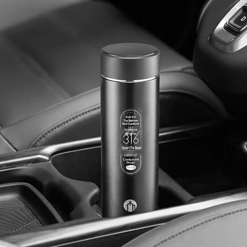Fuguang Tea Master 316 Stainless Steel Portable Insulated Tea Tumbler