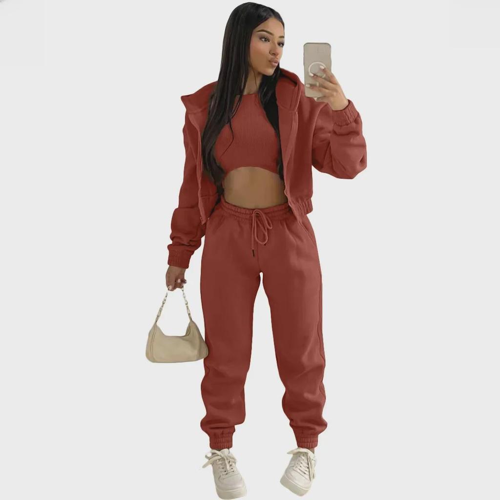 In Stock: 2022 Women's European & American Plus Velvet Hooded 3-Piece Sweatshirt & Sports Leisure Suit