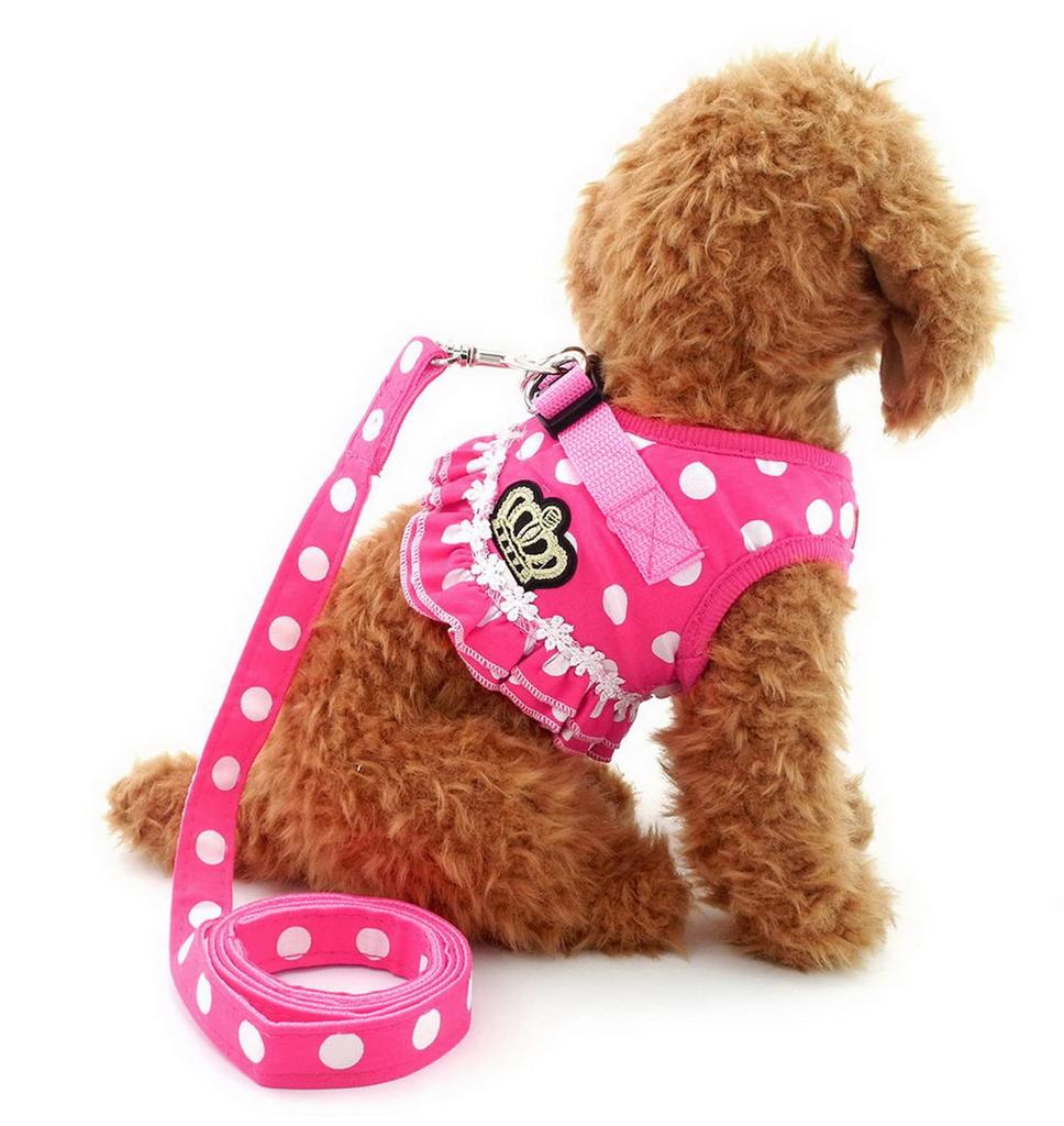 Zunea Pet Supplies Dog Harness for Small Dogs Cute Dot Polka Dot Pattern Lead Set Breathable Soft Mesh Lining Stylish Dog Clothes Vest Walking Pink S