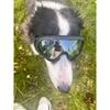 Dog Sunglasses Soft Adjustable UV Protection Pet Goggles Easy Wear Puppy Glasses For Medium Big Breed Outdoor Riding Driving