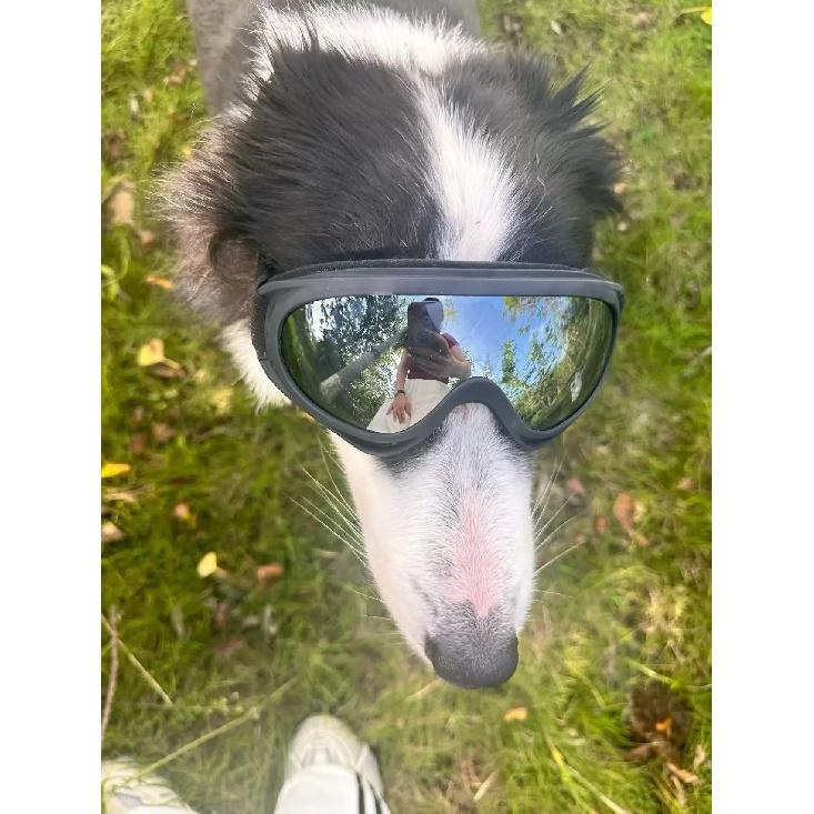 Dog Sunglasses Soft Adjustable UV Protection Pet Goggles Easy Wear Puppy Glasses For Medium Big Breed Outdoor Riding Driving