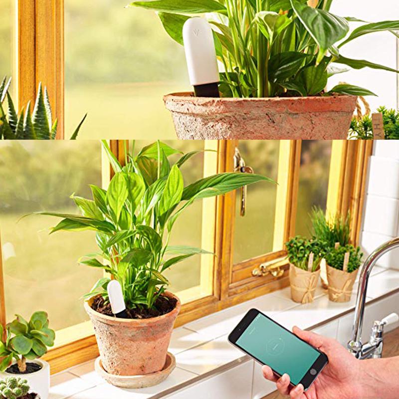 Buy Xiaomi VegTrug Flower Monitor Flora Care Digital Plants Grass Soil