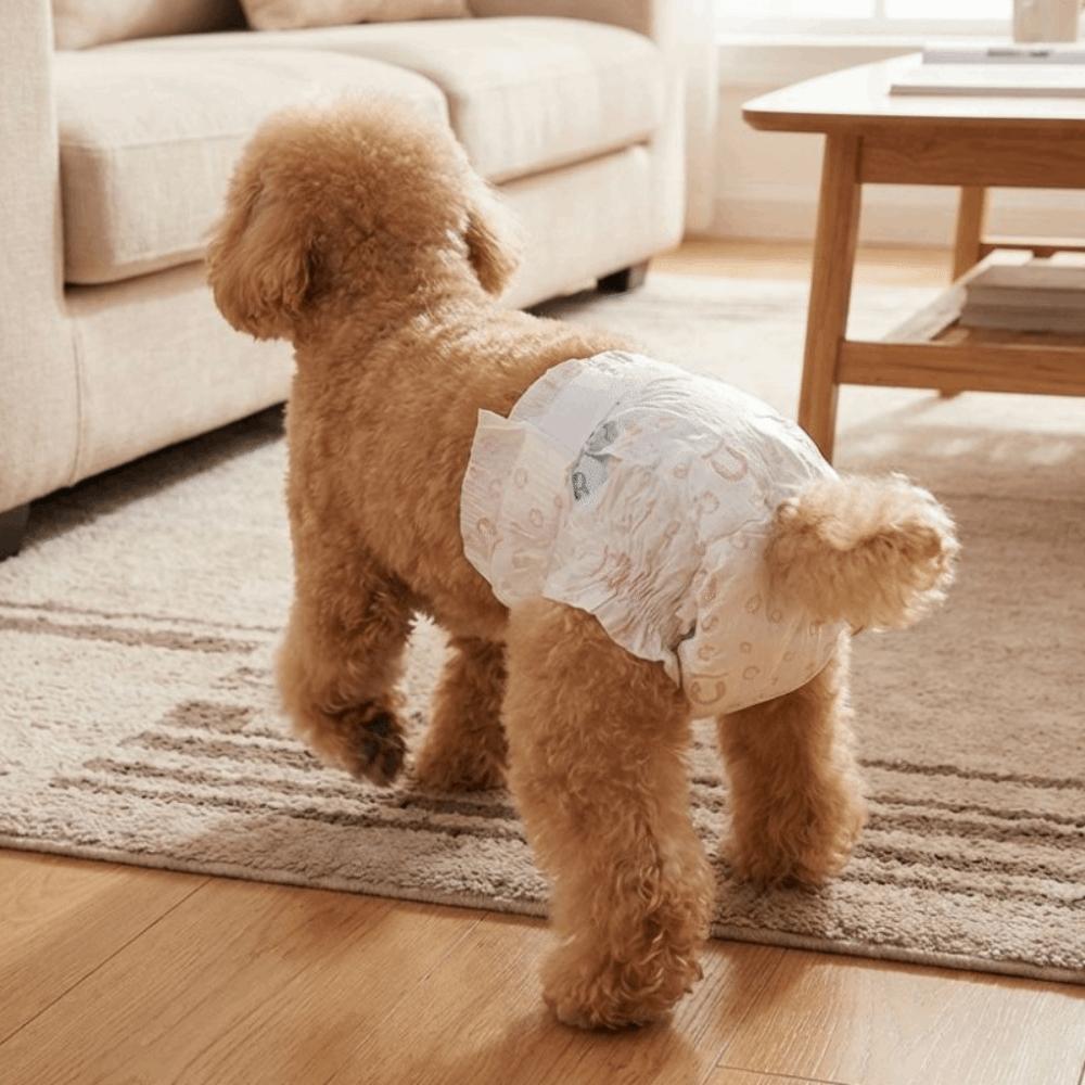 10 Stück Super Saugfähige Hundehosen Verstellbare Einweg-Windeln Hundereise