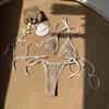 Lace Up Bikini Suit Ruffled Halter Neck Sling Swimsuit Fashion Swimwear Set  Swimming Pool