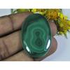 AA++ 70Cts. Natural Green Malachite Oval Cabochon Loose Gemstone 25X40X04MM D-34