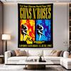 Guns N Roses Use Your Illusion 1992 Wembley Split Art Poster