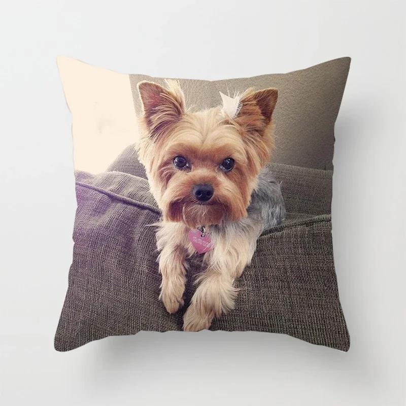 Bedroom Sofa Waist Cushion Cover Car Decorative   Cute Dog Yorkie  Yorkshire Decor Print Pillowcase, 30x30cm