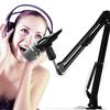 Desk Arm Microphone Stand, Desktop, Extendable, Holder, Adjustable Arm, Clamp, for Studio Microphones, Condenser Microphones, Foldable Stand Arm Set,