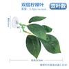 Fish Resting Leaf, Artificial Leaf Hideout and Spawning Bed for Aquarium Decoration