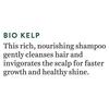 Biotique Bio Kelp Protein Shampoo For Hair Growth Treatment – 120ml For Men & Women, Anti Hair Fall, Natural Shine