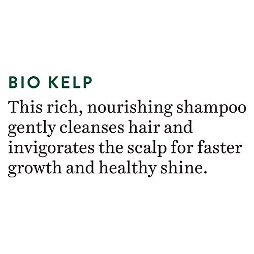 Biotique Bio Kelp Protein Shampoo For Hair Growth Treatment – 120ml For Men & Women, Anti Hair Fall, Natural Shine