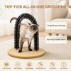 Cat Self-Grooming Replacement Brush Arched Comb With Detachable Massager For Fur Removal, Indoor Cat Care Gift For Pets