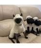 Oblečení pro bezsrsté kočky podzim a zima zesílený polární fleece teplé čtyřnohé sphynx devon kočka jehněčí oboustranný fleecový bavlněný