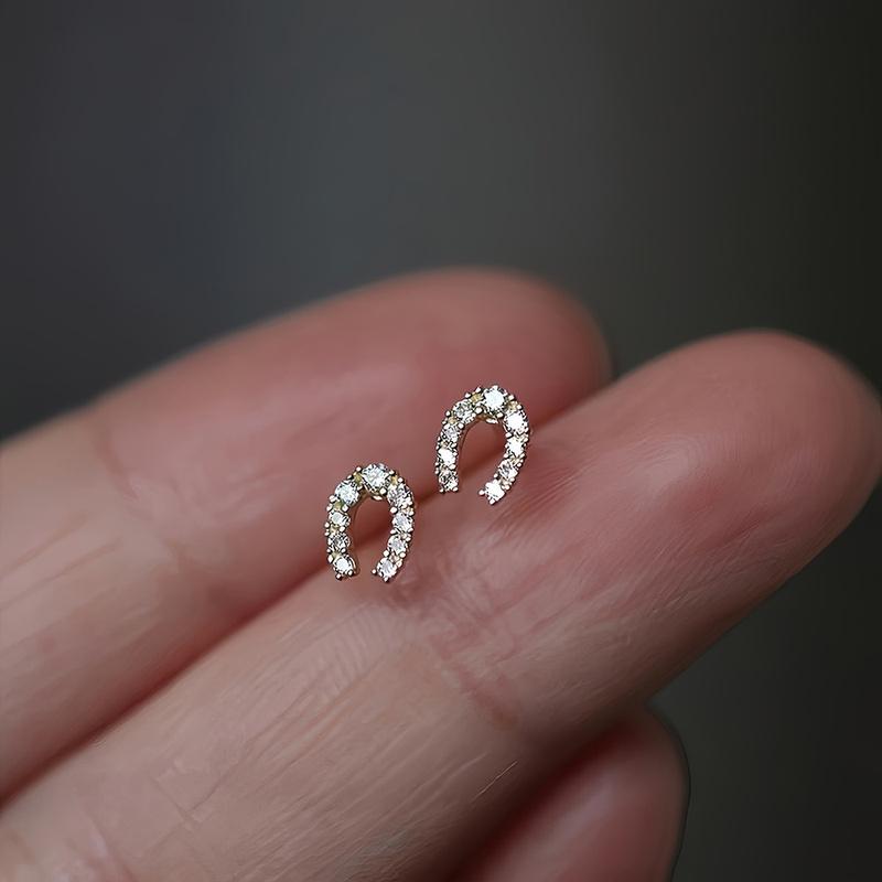 2pcs Mini Horseshoe Hoof Earrings - Hypoallergenic & Shiny, Dainty Horse Jewelry for Lovers, Perfect Birthday Anniversary Gift for Her, Sensitive Ear