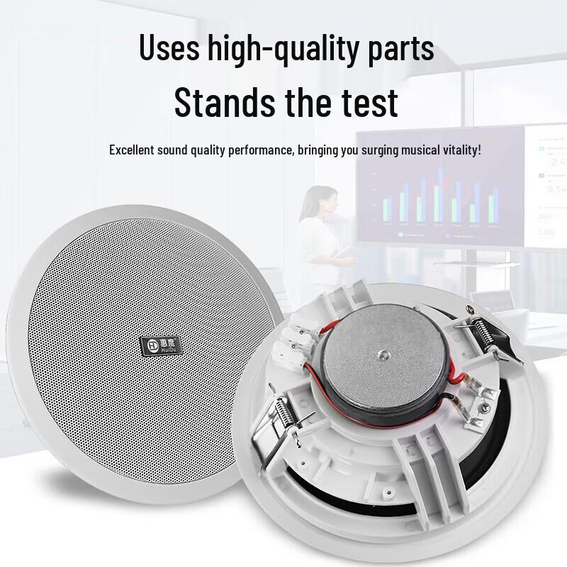 HuiDu RS-608H 30W Professional Coaxial Ceiling Speaker (CN version)