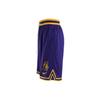 Nike Dri Fit Basketball Shorts Men's All over Purple DH9176-504